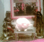 070528.Voodou_Cat copy_t.gif
